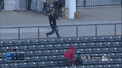 413949 GIF by MLB