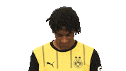 Look Up Borussia Dortmund Sticker by Bundesliga