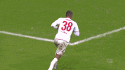1 Fc Cologne Football GIF by 1. FC Köln
