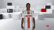 Posing Line Up GIF by Bundesliga