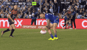 Fish Try GIF by NZWarriors