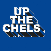 Premier League Football GIF