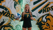 Volleyball Bison GIF by NDSU Athletics