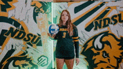 Volleyball Bison GIF by NDSU Athletics