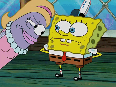 season 3 missing identity GIF by SpongeBob SquarePants