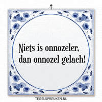 Humor Spot GIF by Tegelspreuken.nl