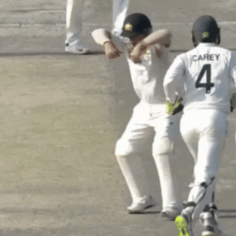 David Warner Explosion GIF