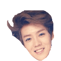 exo STICKER by imoji
