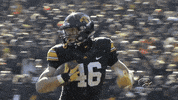 iowa hawkeyes football GIF by University of Iowa Hawkeyes Athletics