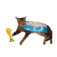 Football Futbol Sticker by Rubicat