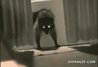 door stealing GIF