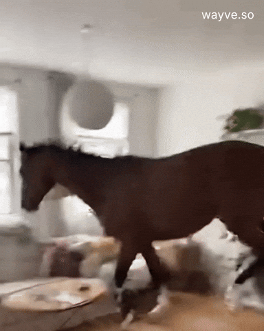 Mood Feels GIF by Darwin