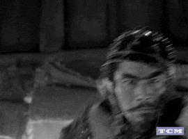 Akira Kurosawa Samurai Movie GIF by Turner Classic Movies