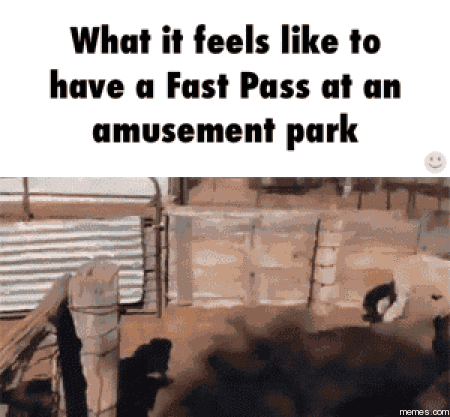 pass GIF