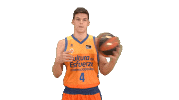 Liga Endesa Sport Sticker by ACB