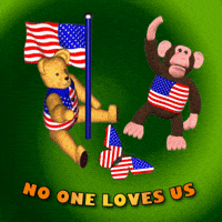 American Flag America GIF