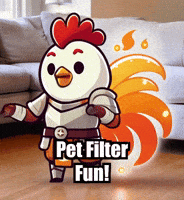 Pets Filter GIF by Zorooster
