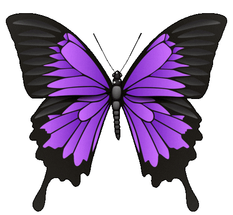 Butterfly Wings Sticker