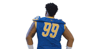 Take On Me Football Sticker by Delaware Blue Hens