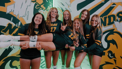 Volleyball Bison GIF by NDSU Athletics