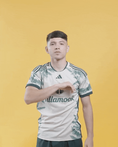 Mls David GIF by Timbers