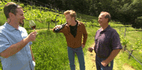 teamcoco wine conan obrien san francisco wine tasting GIF