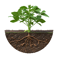 Ts Sticker by Corteva Brasil