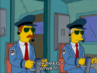 homer simpson GIF