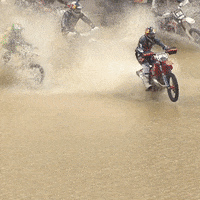 GIF by Red Bull