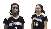 Womens Soccer Sticker by UNCP Braves Athletics