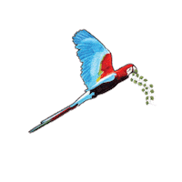 Goodearth Sticker by nitin
