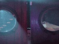 Season 2 Shrug GIF by The Lonely Island