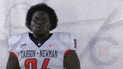 Carson Newman Football GIF by Carson-Newman Athletics