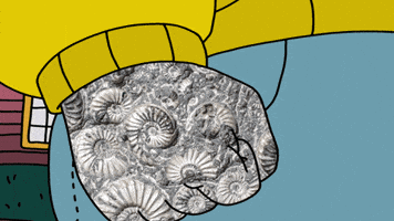 Crypto Yes GIF by herbertonic