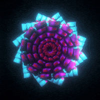 pink colors GIF by xponentialdesign