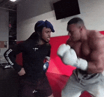 Boxing Put Them Up GIF