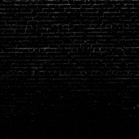 Primary Election Ca GIF by Creative Courage