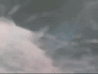 Footage Oaf GIF by jorgemariozuleta