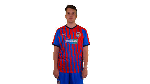 Fcvpesport Sticker by FCVP