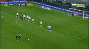GIF by FC Dynamo Moscow