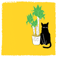 courtneypure cat plants hooman cat lady GIF