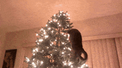 Cat Christmas GIF by VakantieVeilingen