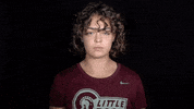 Arkansas Baseball GIF by Little Rock Athletics