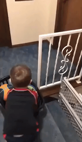 This 3-Year-Old Can Land More Trickshots Than You
