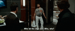 the hangover friends GIF