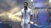 pitchfork music festival GIF by Pitchfork