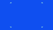 Art Video GIF by jorgemariozuleta