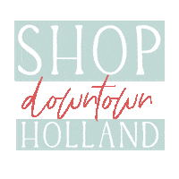 cityofholland holland downtown holland mi holland michigan Sticker