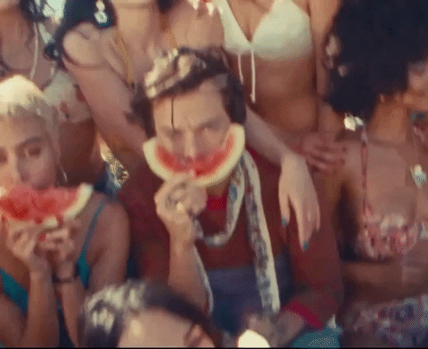 Watermelon Sugar GIF by Harry Styles
