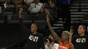 Excited Womens Basketball GIF by WNBA